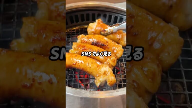 ASMRでよく見る韓国ホルモン