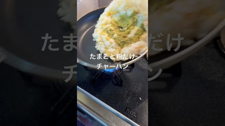 カルディ購入品#グリーンカレー #チャーハン #カルディ #カルディ購入品 #cookingvlog #cookingshorts #cooking #foodshorts #foodvlog