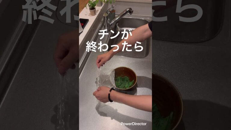 96日目　レンチンでほうれん草のおひたしを作ったら簡単にできました！1人分でも楽ちんです！　#ズボラ飯 #今日の晩ごはん #まいにちごはん #簡単レシピ