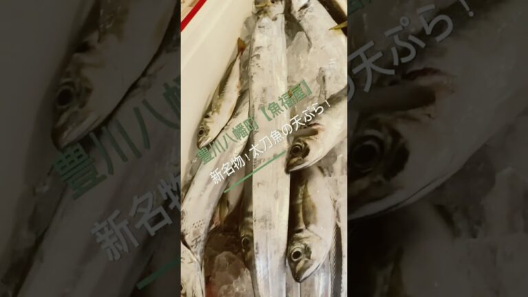 太刀魚がこんなに美味しくなるなんて！太刀魚天ぷら【イオンモール豊川から車で５分】愛知県豊川市のイタリアンシェフのお魚レストラン