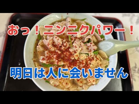 【岡山ラーメン】 ニンニク好きにはたまらない 総社市 ラーメン専科木かげ