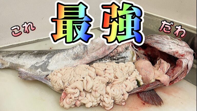 1ヶ月待ちの【白子パンパン真鱈】が最強でした！チャンジャも作っちゃいます〈前編〉（買って魚捌き動画#19）