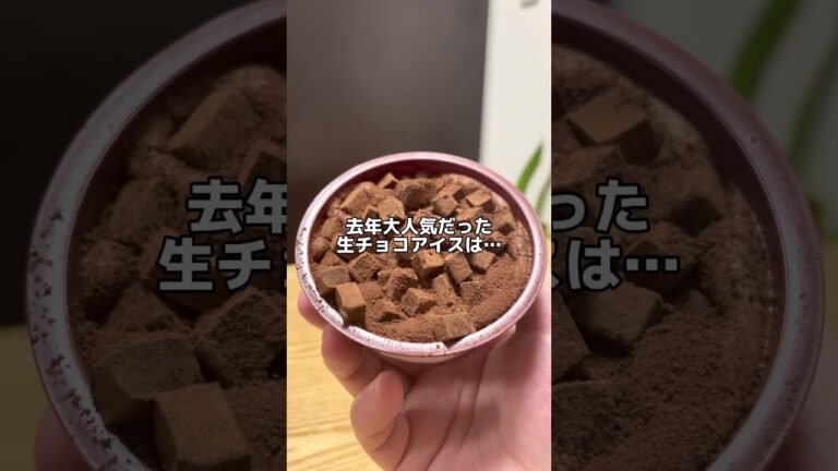 これは神アイス‼️【セブンイレブン新商品】生チョコアイス #生チョコ #アイス #チョコレート