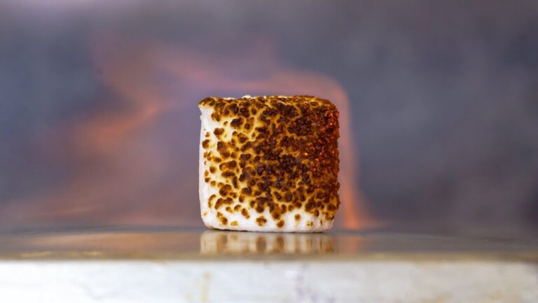 【ASMR】マシュマロをガスバーナーで炙ってみたら。。。#Shorts