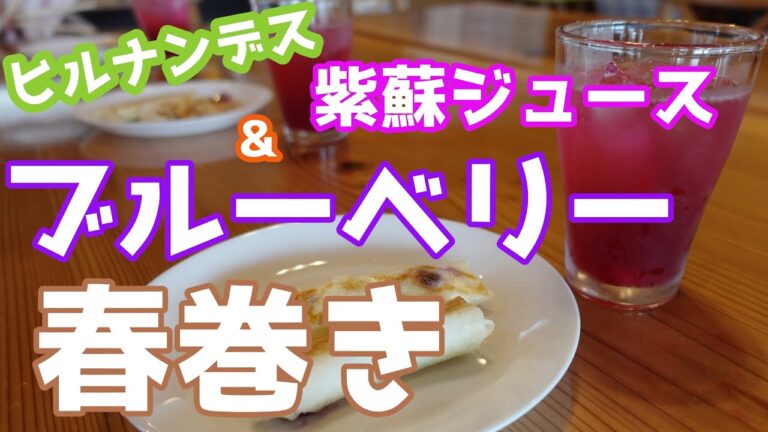 【ヒルナンデス】紫蘇ジュース&ブルーベリー春巻きを完全再現！【レシピ】