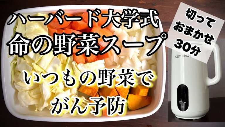 【材料4つ】免疫力アップで健康長寿！ハーバード大学式命の野菜スープ【ソイリッチ】