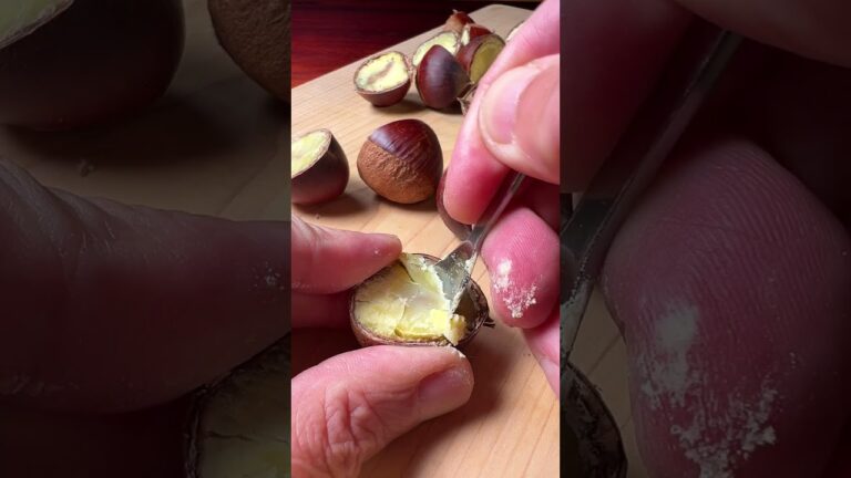 栗きんとんの秋 #shorts