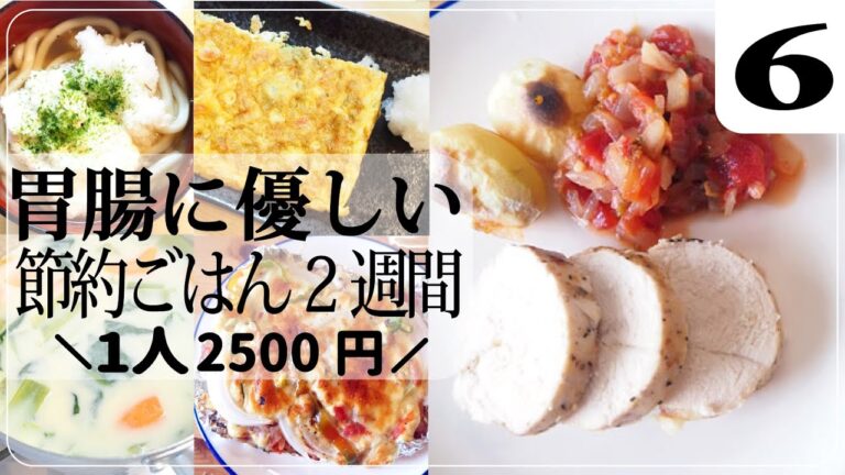 【胃腸炎】胃腸に優しい節約ごはん2週間⑥ 健康な人も楽しめる食事【節約料理】