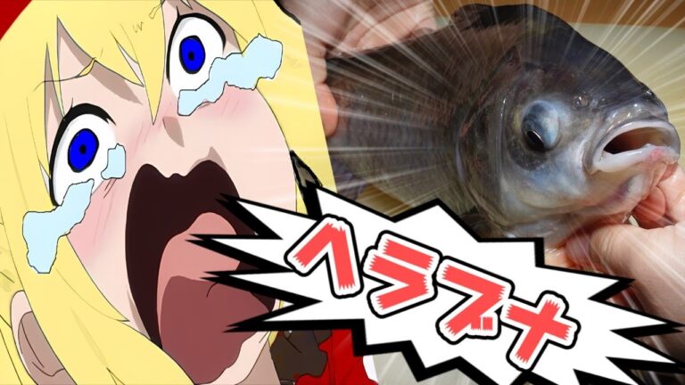 【ゆっくり実況】日本の食文化において歴史がある意外な食材”ヘラブナ”の餡掛け唐揚げ【ゆっくり料理】【ゆっくり解説】