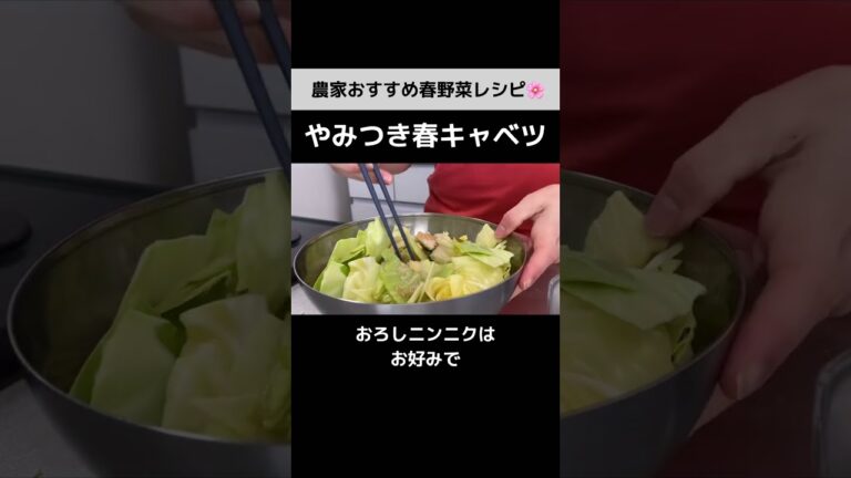 春キャベツの美味しい食べ方【火を使わない15分レシピ】