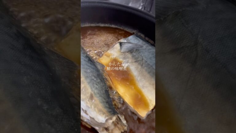 【自炊】ずぼら鯖の味噌煮　#料理 #cooking  #shorts