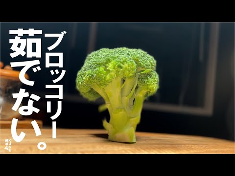 ブロッコリーあれば必ず食べて欲しい。【無限に広がる使い道】