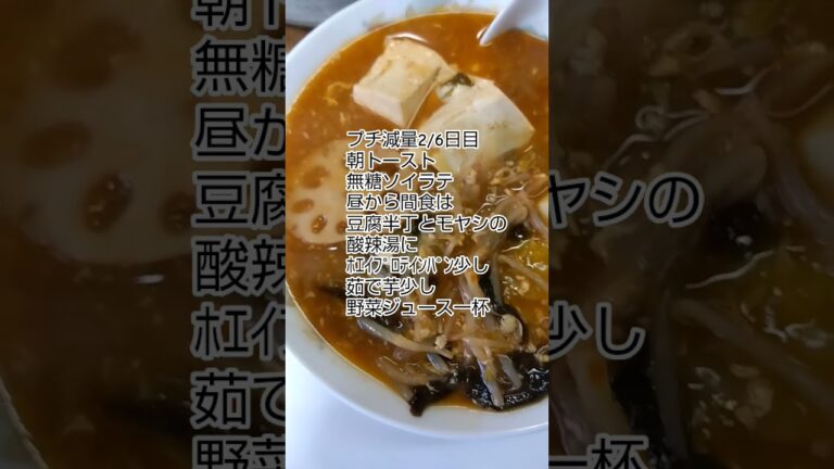 ㉁プチ減量2/6日目、豆腐モヤシ酸辣湯、大食い減量