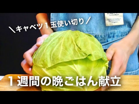 【１週間の献立】春キャベツ１玉使い切り／ゆるダイエット中の高たんぱく質ごはん５日間メニュー【二人暮らし】