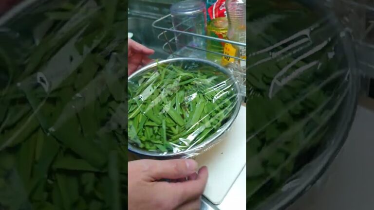 ニラとモヤシのナムル。病院食です、