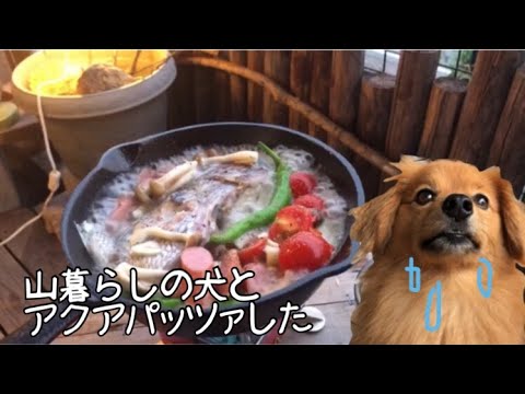 【キャンプ飯】犬とアクアパッツァ食べた　　ポメラニアン×ダックス