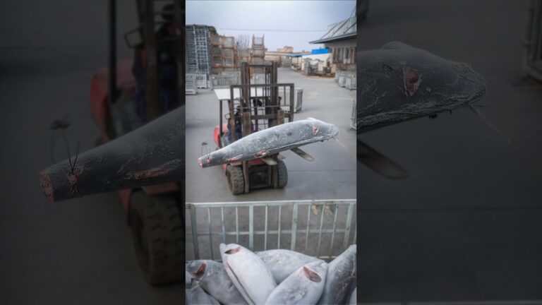 冷凍マグロが危険な理由