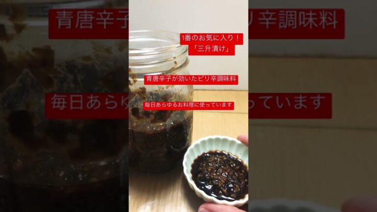 【1番のお気に入り！自家製発酵調味料「三升漬け」ピリ辛味がクセになる万能調味料　毎日あらゆる料理に使っています。#shorts #発酵料理 #自家製 #三升漬け