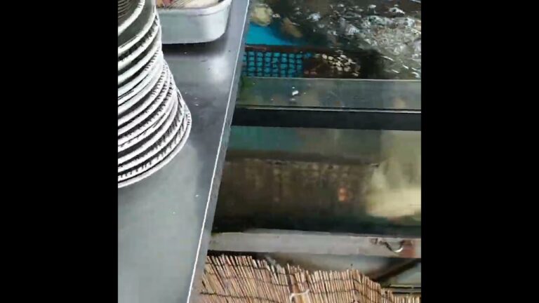 伊良湖岬の大アサリ焼き
