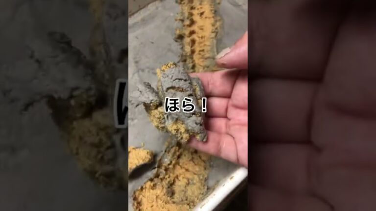 ＃今日のぬか床＃産膜酵母 でも全く臭くない！しかも放置のたびに発酵の力を知る＃ぬか床＃糠漬け