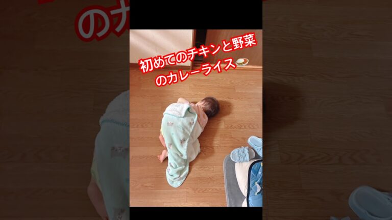 初めてのチキンと野菜のカレーライス🍛 #鈴愛 #赤ちゃん #赤ちゃんのいる生活 #子育てに関して #イライラしない子育て #離乳食 #離乳食レシピ #離乳食完了期 #1歳1ヶ月 #可愛い