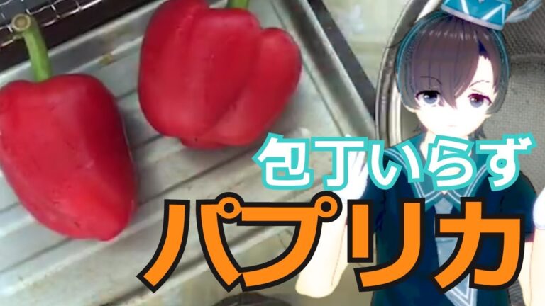 パプリカを丸ごと焼くだけ！野菜の簡単ヘルシーな作り方【料理系VTuber】