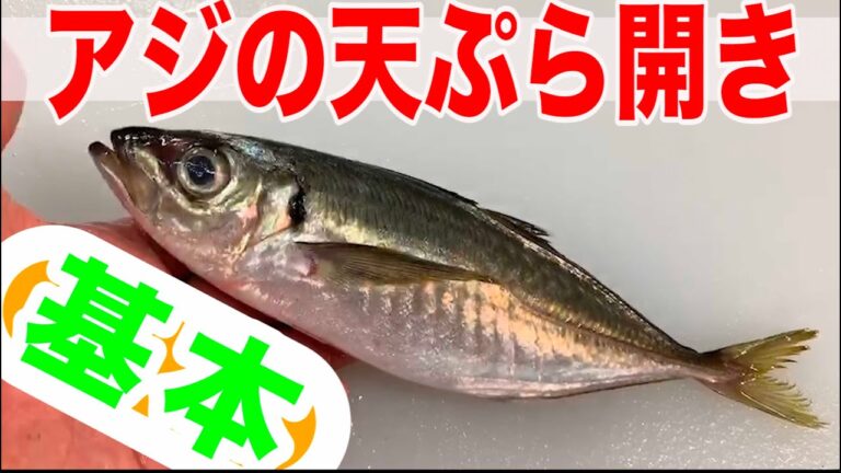 魚河岸市場花いち【アジの天ぷら開き】プロの料理人が基本の捌き方を教えちゃいます。見ると誰でもアジの天ぷら開きが出来る様になると思います。