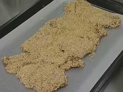 オーブン＋加湿モード｜鶏のゴマ焼き【電化厨房ドットコム公式】