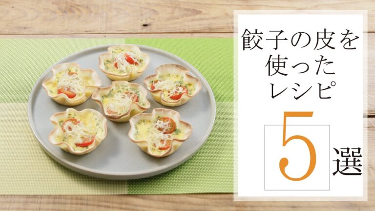 餃子の皮を使ったレシピ5選🍽【きちんとキッチンbydaiei】