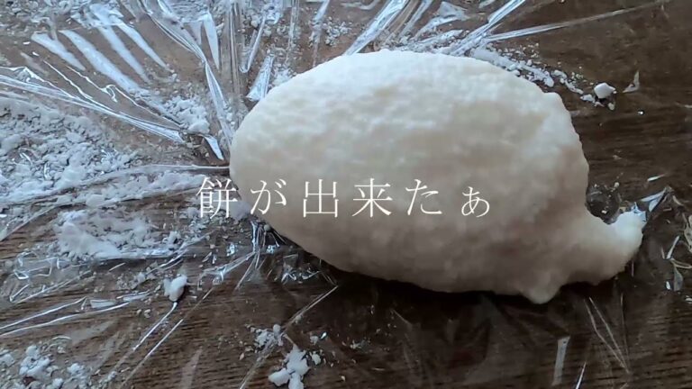 餅をつくってみた【レディースミキサー頼りになります】