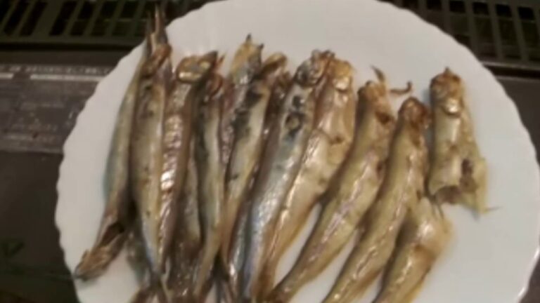 みんなのししゃも VS ほんとのししゃも　徹底比較！