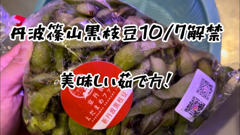 丹波篠山黒枝豆やっと解禁！美味しい茹で方紹介します！