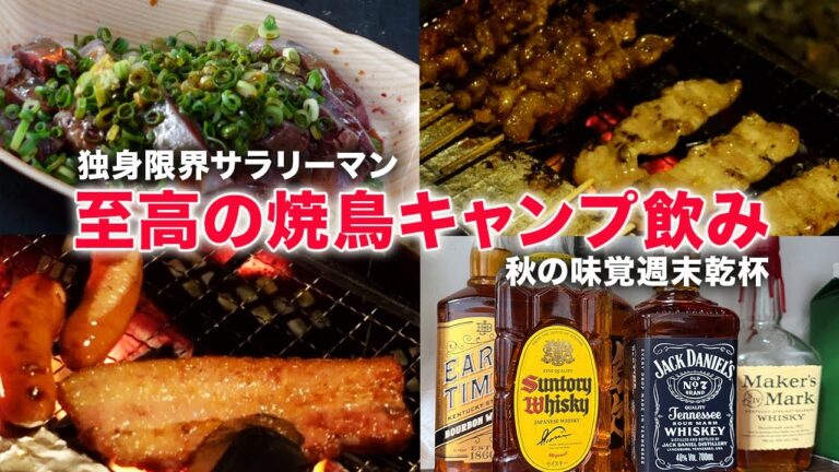 【キャンプ焼鳥】ソロキャンプで至高の焼鳥乾杯。独身サラリーマン昼過ぎから明け方まで飲み明かす