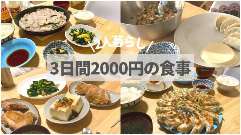 【二人暮らし】1人1食350円で作る3日分の節約晩ごはん