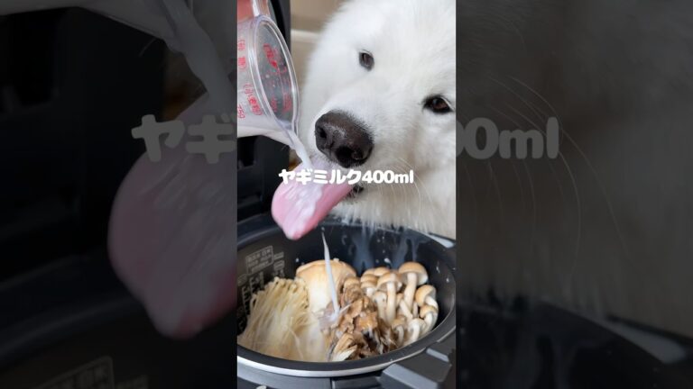 たっぷりきのこリゾットつくったら爆食してくれました！