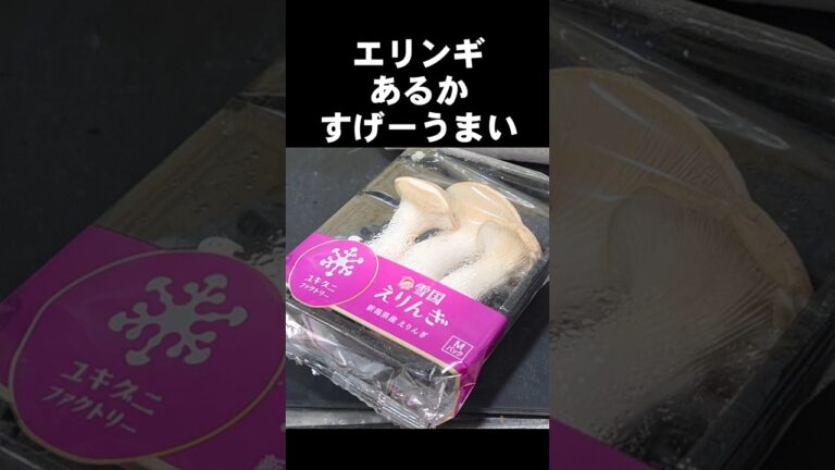 エリンギあったら絶対作ってみて！まるで松茸を超えためっちゃ美味しい炊き込みごはん