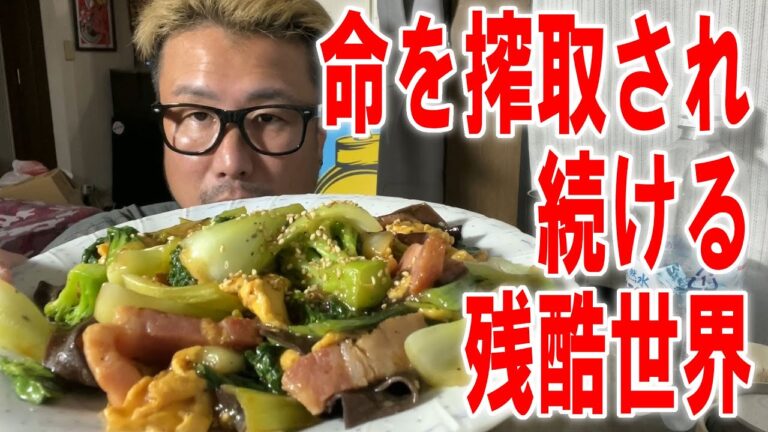 【餡かけムーシーロー】命の対価を奪われ続ける世界晩酌【飯テロ】【飯動画】【酒動画】