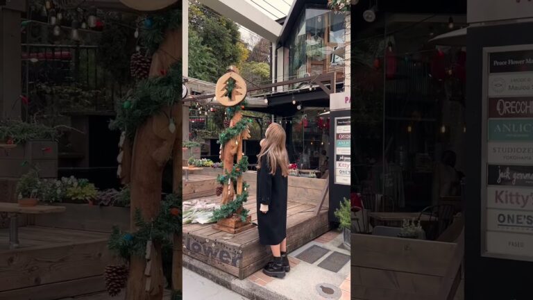 【おすすめ】クリスマスに行きたい海外っぽCafe