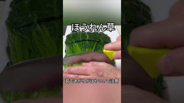 ほうれん草が安かったので、楽チン、冷凍保存方法する。雨上がりのドロ被ったほうれん草が狙い目。ただそのままだとすぐ傷んでしまう #ほうれん草 #冷凍保存 #food #ショート#shorts