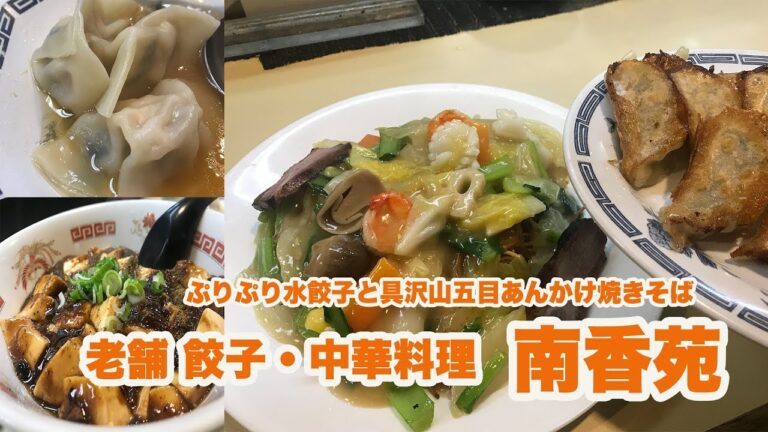 【南香苑】山椒香る麻婆豆腐と具沢山の五目あんかけ焼きそばとぷりぷり水餃子【中華料理】