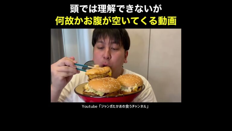 【理解不能】てりやき炒飯丼