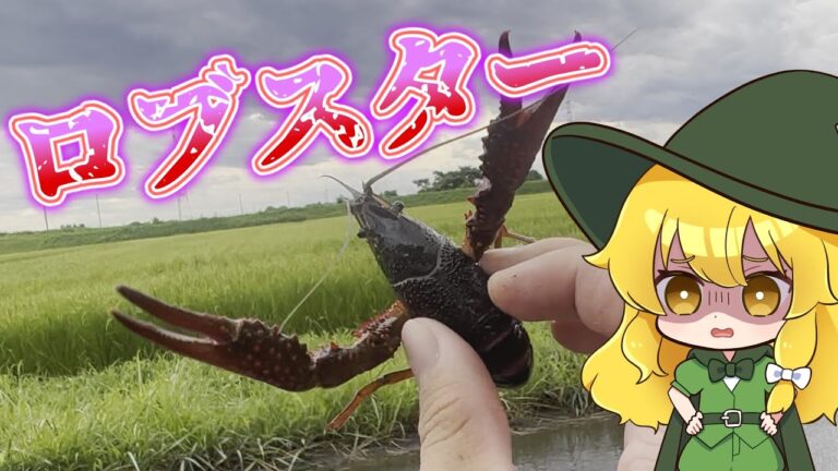 【ゆっくり実況】用水路のタラバガニで作る本格ピザ【ゆっくり料理】