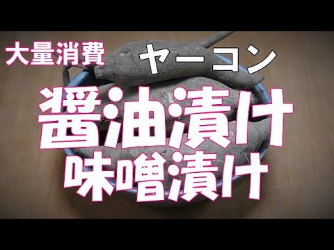 【大量消費】ヤーコンの醤油漬けと味噌漬けの作り方『シャキシャキ食感の漬け物』