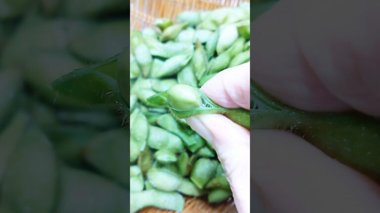 【枝豆】美味しい茹で方 #丹波篠山 #黒枝豆 #丹波黒若さや