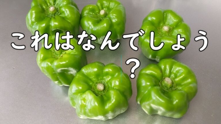 辛みそを作ってみた、はじめての野菜、ボタンコショウを調理してみた、とんだハプニングもありました