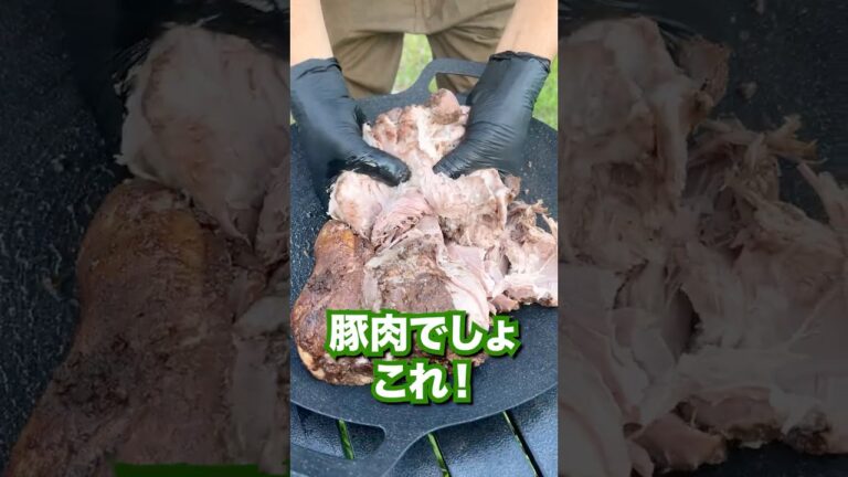 少し触るだけで肉のほぐれるプルドポークが最高でした！