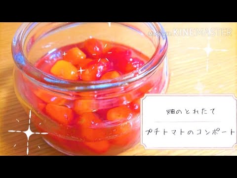 💎畑の宝石💎プチトマトのコンポート #Shorts