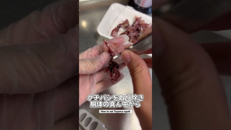 ホタルイカのボイル下処理方法｜How to eat Toyama squid #ショート #shorts #ライフハック #lifehacks #ホタルイカ