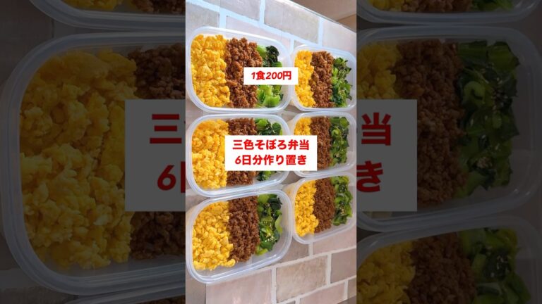 【ワンパン】【三色そぼろ弁当】6日分作り置きして冷凍保存する🍳#shorts #作り置き#弁当