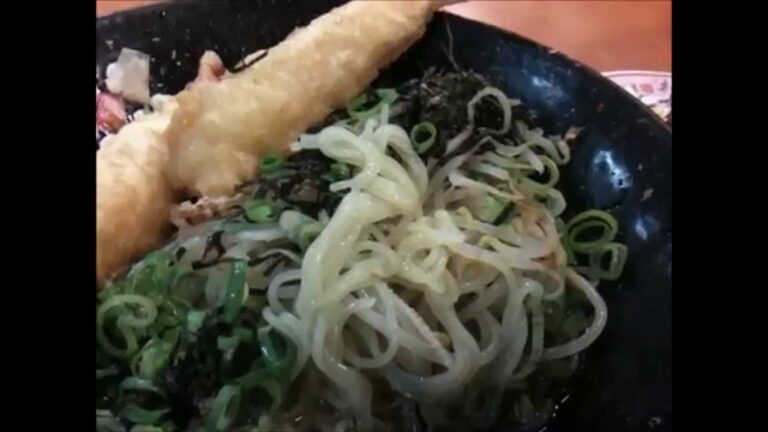 エビ天冷やしラーメンとホルモンの天ぷら　王将氷上店